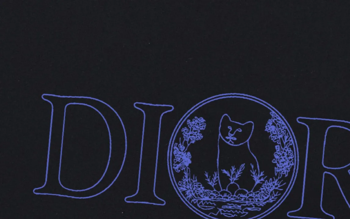 （ ） DIOR 2025New Arrival logo Same Style t 100％ 32 ：Black Size：XS S M L