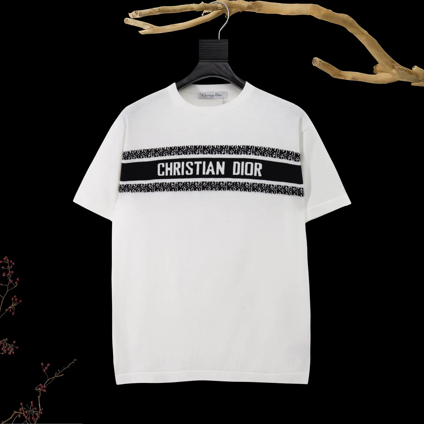 DIOR Classic New Arrival LOGO T Classic DIOR Same Style ：100% ： Black White Sizes：XS S M L